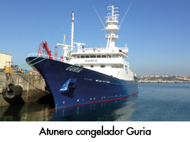 Atunero congelador Guria